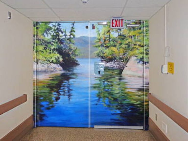 What other hospitals have done art initiatives- do they have policies? If  so what are some examples?