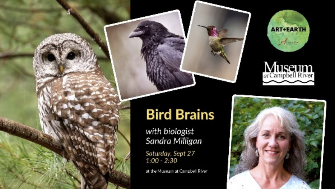 Bird Brains